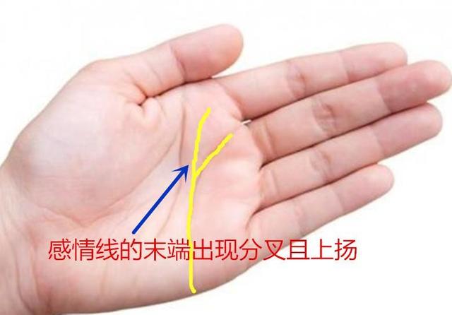 男人手相看婚姻看左手还是右手_男人右手手相代表什么_男人婚姻线看左手还是右手