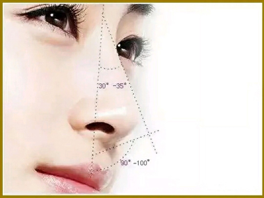男人鼻子形状看面相_鼻子的形状看命运图片_看鼻子面相算命大全图解