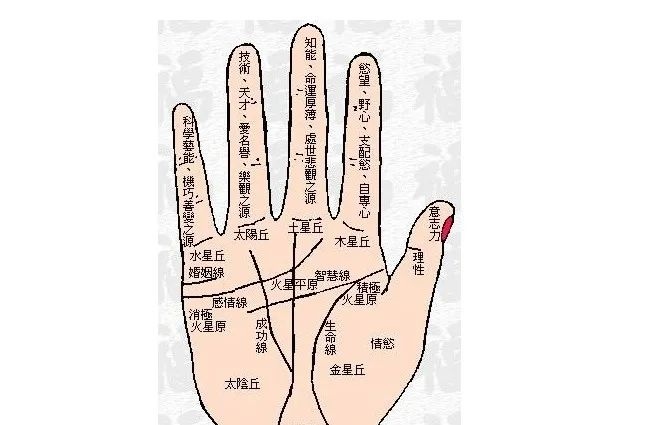 易经看手相图解：易经里右手小指代表什么意思啊？