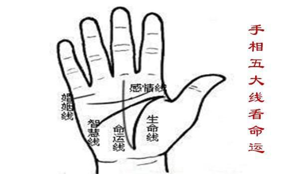 手相解析:手相中五指长短代表什么个性不能看出代表人的个性