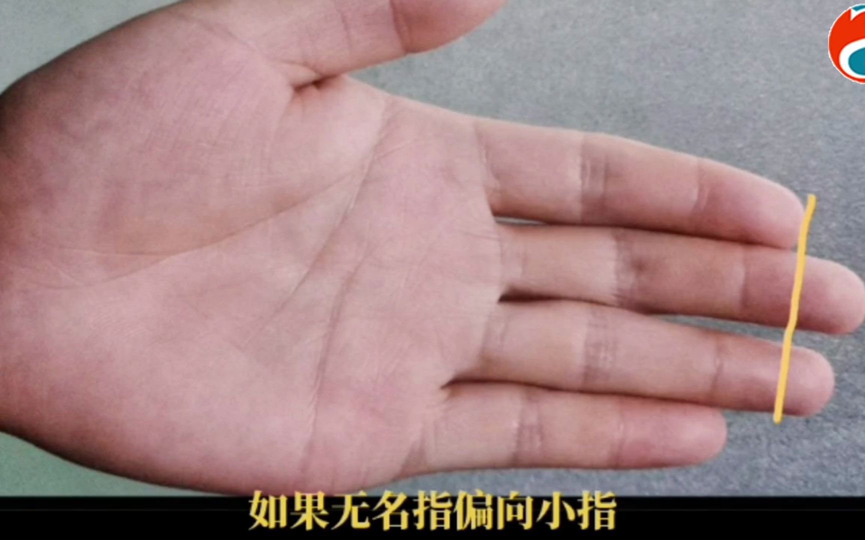 周易研究汇：手指较长的手相有哪些特征？