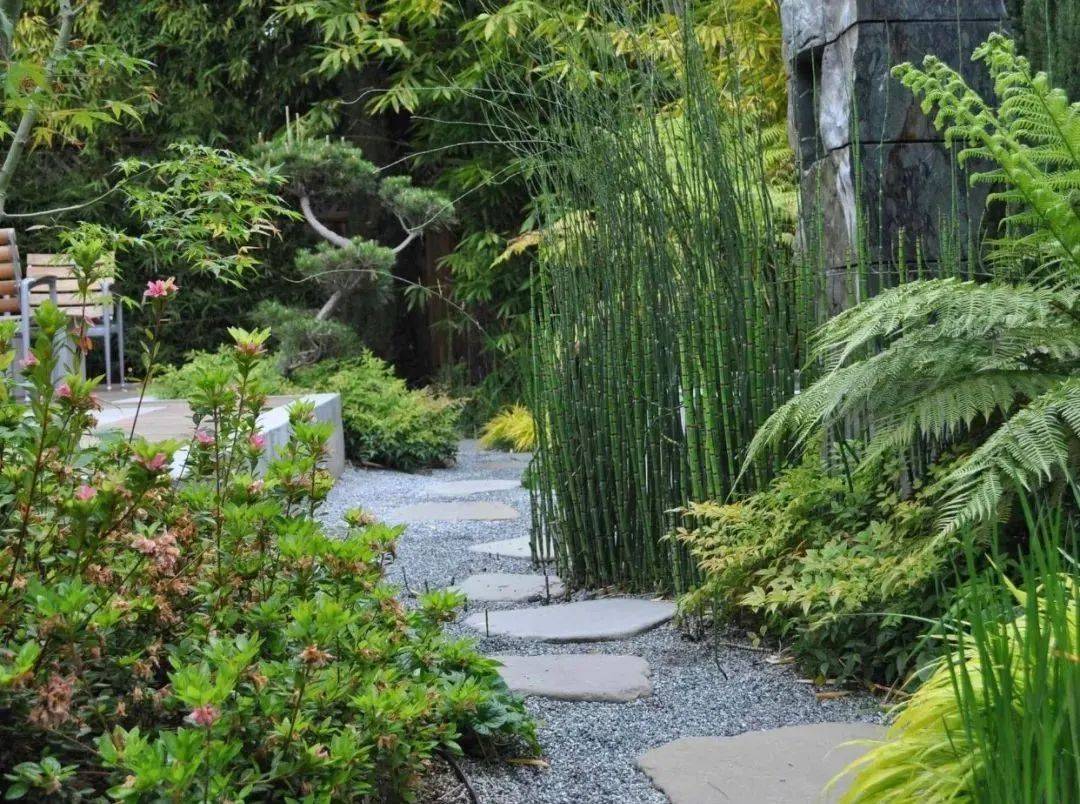 庭院必备：种竹花园的技巧！