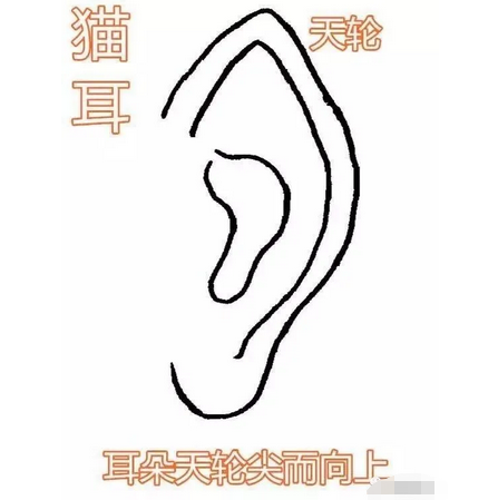 耳朵尖的人到底是什么命？你知道吗？