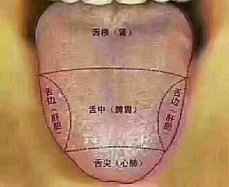 舌尖上的中国：舌头是中医几千年来的经典手法