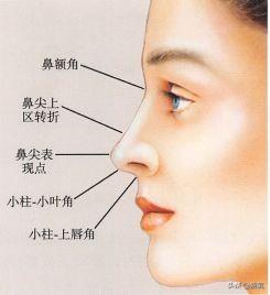 鼻子不那么标准的大鼻子美人，刘亦菲、佟丽娅？