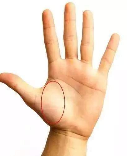 手掌相学(手上六条线，让你看遍生命、事业、感情、婚姻、健康！)(图1)