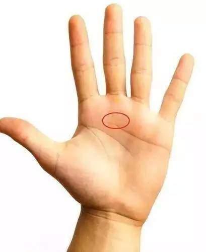 手掌相学(手上六条线，让你看遍生命、事业、感情、婚姻、健康！)(图5)