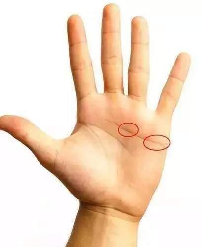 手掌相学(手上六条线，让你看遍生命、事业、感情、婚姻、健康！)(图6)