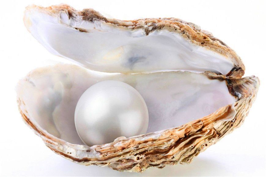 周公解梦：女人梦见蚌壳里取珍珠的心理学解析