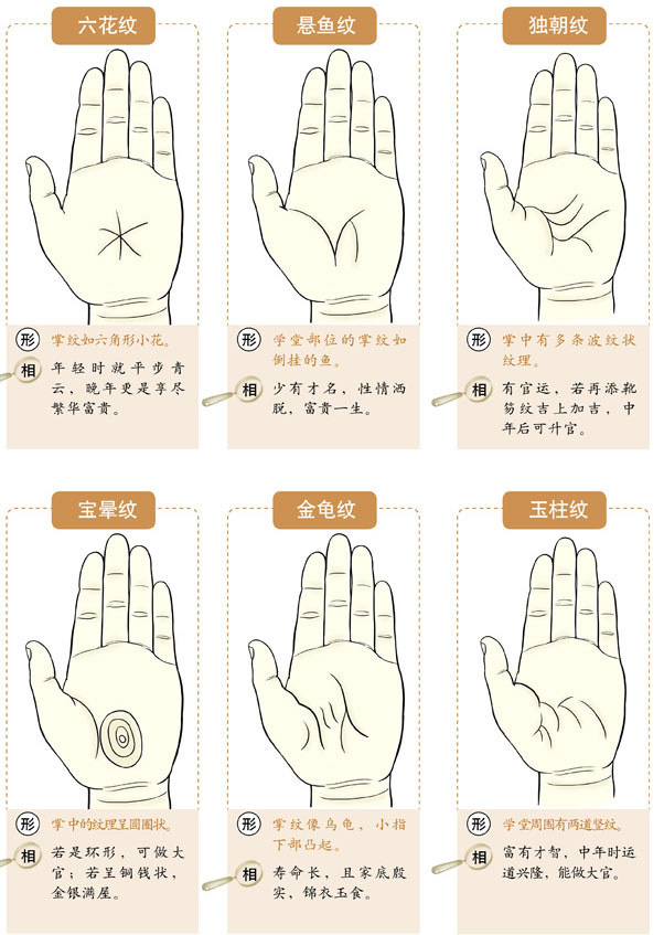 指纹算命手指纹12种指纹类型图解大全-面相手相网