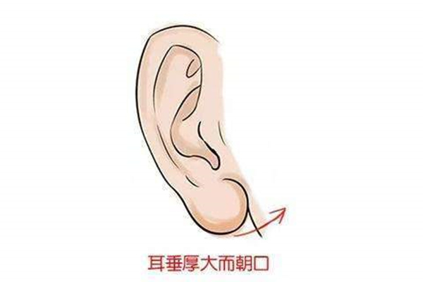 耳朵小难开慧耳低在面相上代表什么?