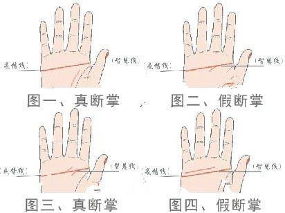 手掌中间一条线贯穿断掌（手纹）是什么意思?