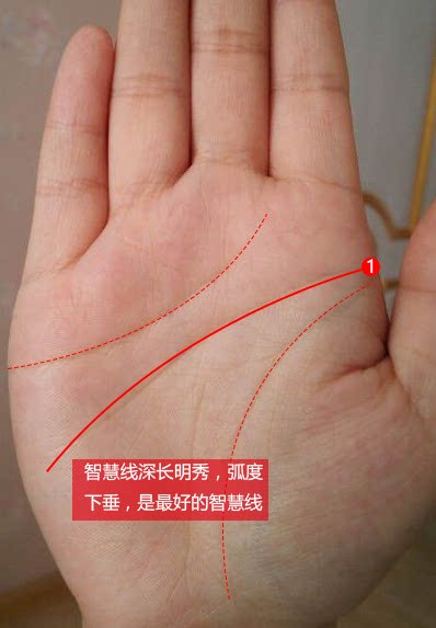 聪明人的手相特征，手掌上纹路能显示出一个人的聪明能力