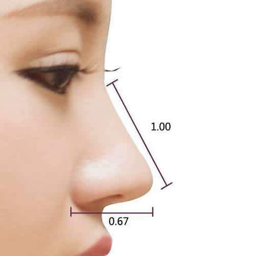 不同脸型的鼻型模板，你适合哪种？