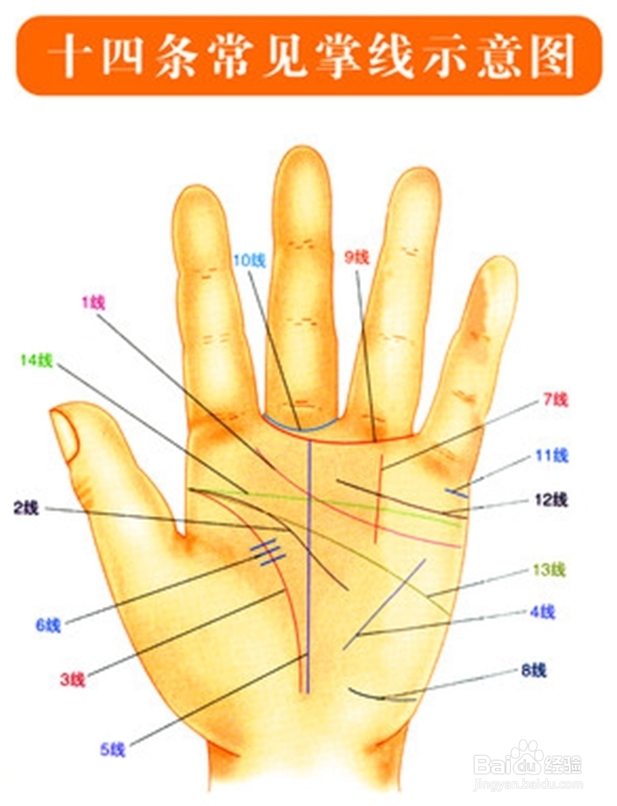 男人左手手纹算命图解怎么看主要看手相的手纹脉络?